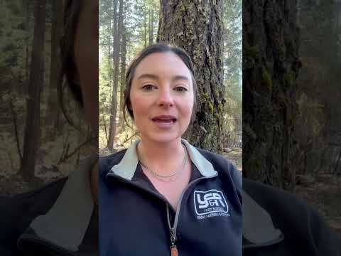 It’s #NationalAgDay! 🌱🚜