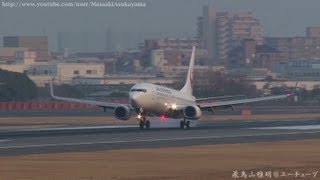 preview picture of video '[夕刻の伊丹] JAL Express (JEX) 737-800 JA326J landing @ Itami RWY32L [March 9, 2013]'