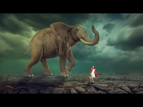 Photoshop Manipulation Tutorial Elephant Manipulation Design Vertex Graphic