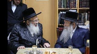 האדמו''ר מספינקא בביקור אצל האדמו''ר מנדבורנה