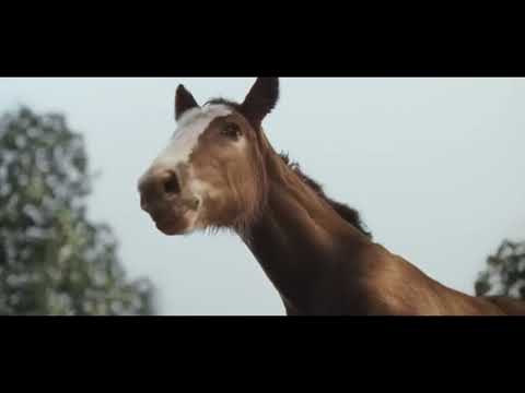American Icons for Budweiser  (Super Bowl 2026)