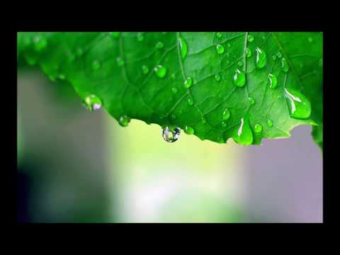 Fratii Balan - Se duce lumea