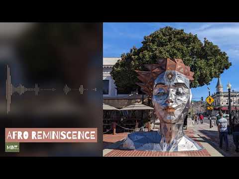 AFRO REMINISCENCE · 🧑🏾‍🎤🪮 #deeptech #techhouse #afro #classics