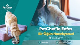 PETCHEF'LE ENFES BİR ÖĞÜN HAZIRLIYORUZ!