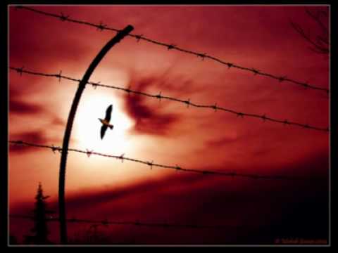 TRAIN TO ROOTS - Fragu e Gherra - "Terra e Acqua_2009"