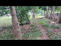 Kumbakonam To Thanjavur Road Opposite Hotel Paradise