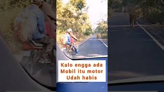 Download lagu bertemu harimau liar di jalan raya #shorts mp3 Download lagu bertemu harimau liar di jalan raya #shorts mp3