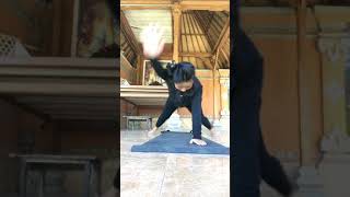 Download lagu ada yg bulat tapi bukan tekad😆 mp3