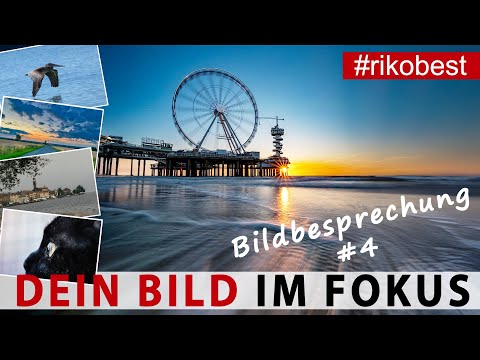 Dein Bild im Fokus #4 - Fotografieren lernen durch Bildanalyse & Bildbesprechung