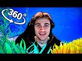 Oi Oi Oi A Eye Eye Oceanic In 360 Video VR 8K Oi Oi Oi A Eye Eye Meme