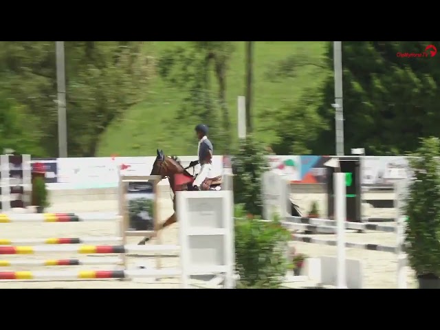 Un ami van 't Laumerieveld, Half brother to Candyman BN, 5Y old, 1m15 course Germany