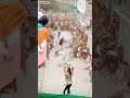 Bastawara Muharram Jila Darbhanga