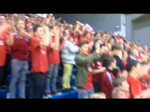 Bikarmeistarar 2014 Haukar