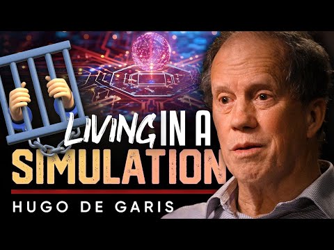 Are We Living in a Simulation? The Reality Question Revisited - Hugo De Garis