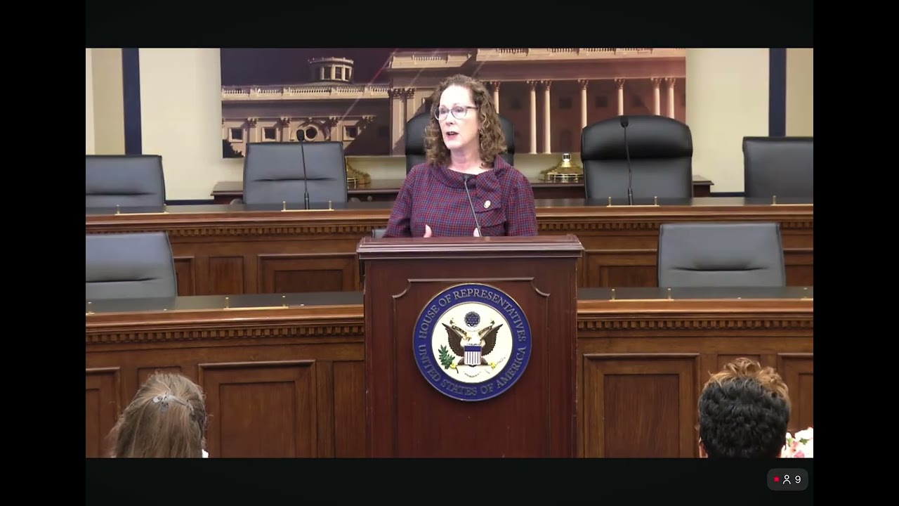 Rep. Val Hoyle Speaks At Congressional Iran Briefing - Working Towards A Democratic Iran