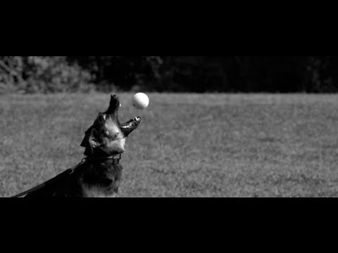 Drums Are For Parades - Ambulance Du Ciel