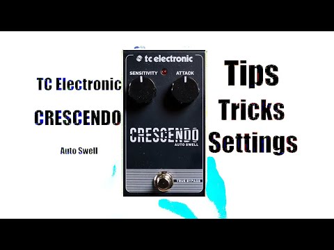 Immagine TC Electronic Crescendo Auto Swell 2021 - Present - Black - 17