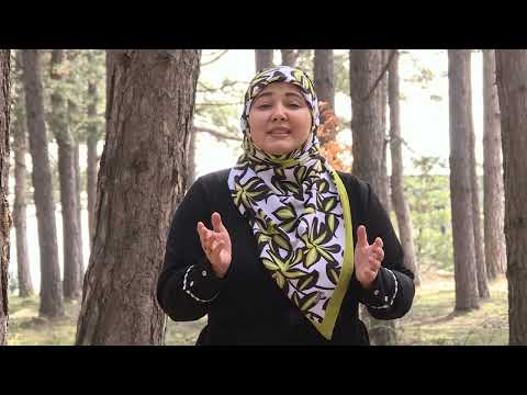 Mihana Goga – Edukimi