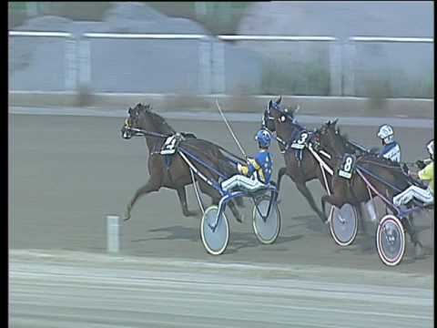 Trotto 05/08/2017 - 1ª corsa