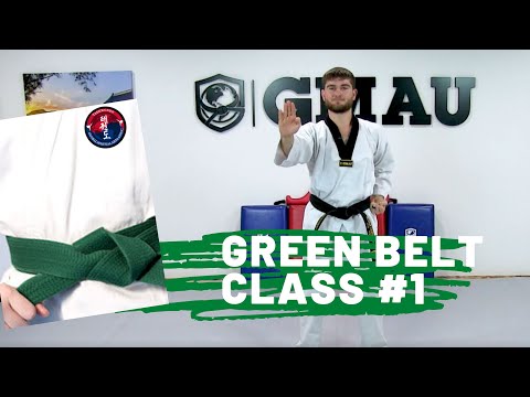 Taekwondo - Green Belt Follow Along - Class 1 thumbnail