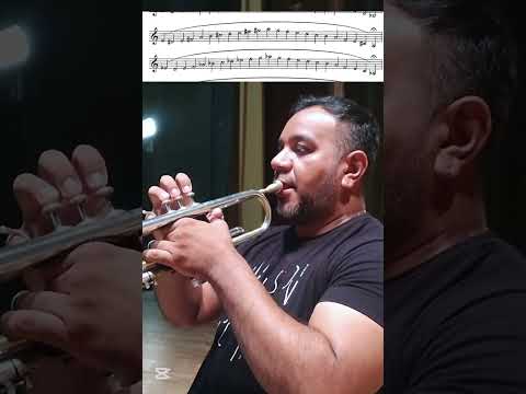 CICHOWICZ FLOW STUDIES N°5 (Rutina diaria para trompeta) #trumpet  #musica #trompeta #music