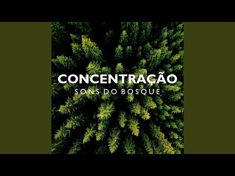 Concentração: Sons do Bosque, Pt. 22