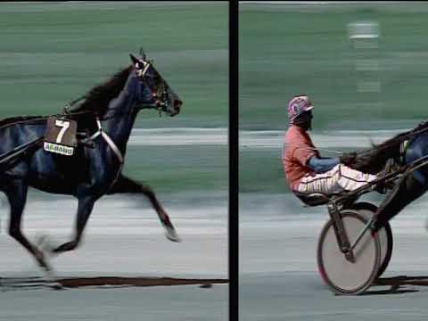 Trotto 08/09/2019 - 1ª corsa