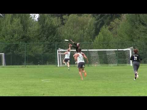 Public Enemy 2019 Highlights