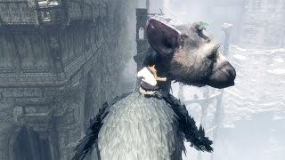 The Last Guardian