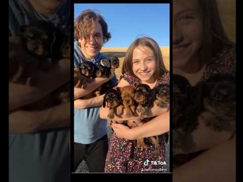 Shiloh and Bros Tik Tok|| @shilohandbros