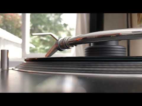 Wanderwelle ~ The Starry Night [SSV11] Test Pressing