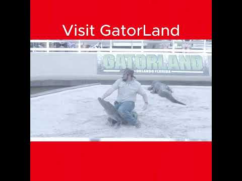 Visit Gatorland @bolo_connection