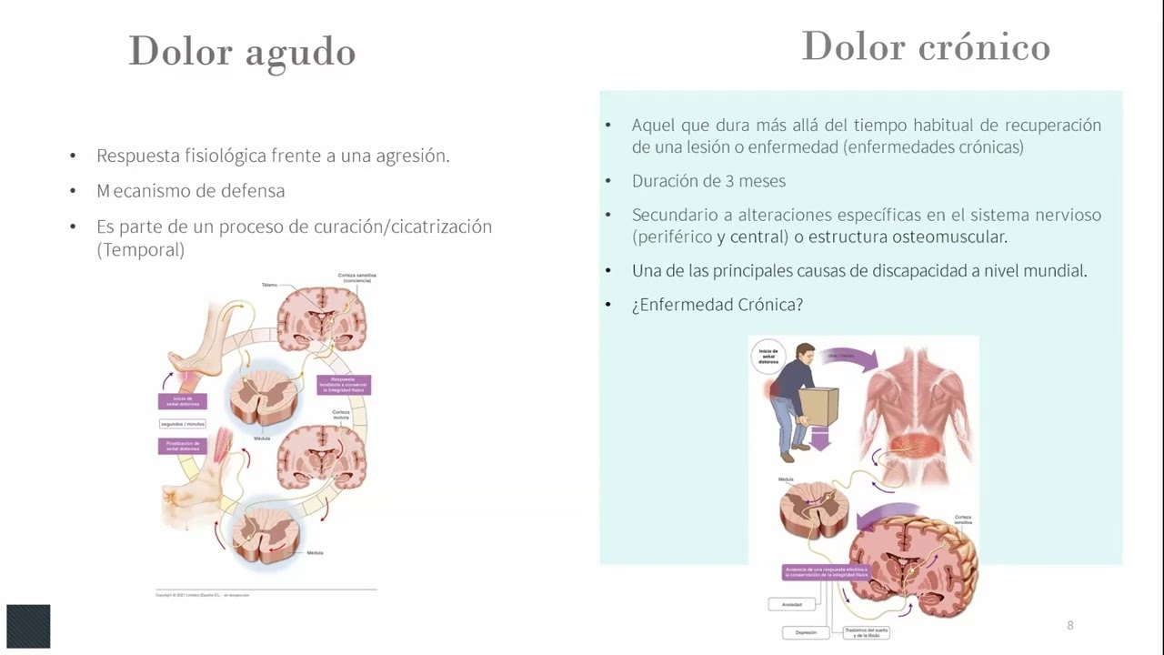 Alivio del dolor una exigencia inaplazable. Fisiopatología del dolor, tipos de dolor.