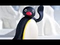 Pingu Napoletano Episodio 2