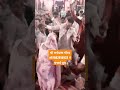 Jai Shree Radhey Shri Radhey Dass Gaurav India Trending Shorts Youtubeshorts Bhajan Bhajan