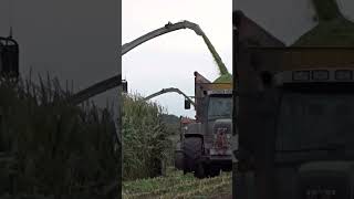 Mais Silage | 2x Claas Jaguar 940 | Jansen Wijhe | 2017