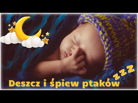 Jak wyciszyć niemowlę przed snem? Usypianie dziecka w 5 minut 😴 Szum deszczu i śpiew ptaków 🎧🌧