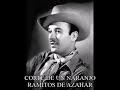 RAMITO DE AZAHAR - PEDRO INFANTE (CON LETRA)