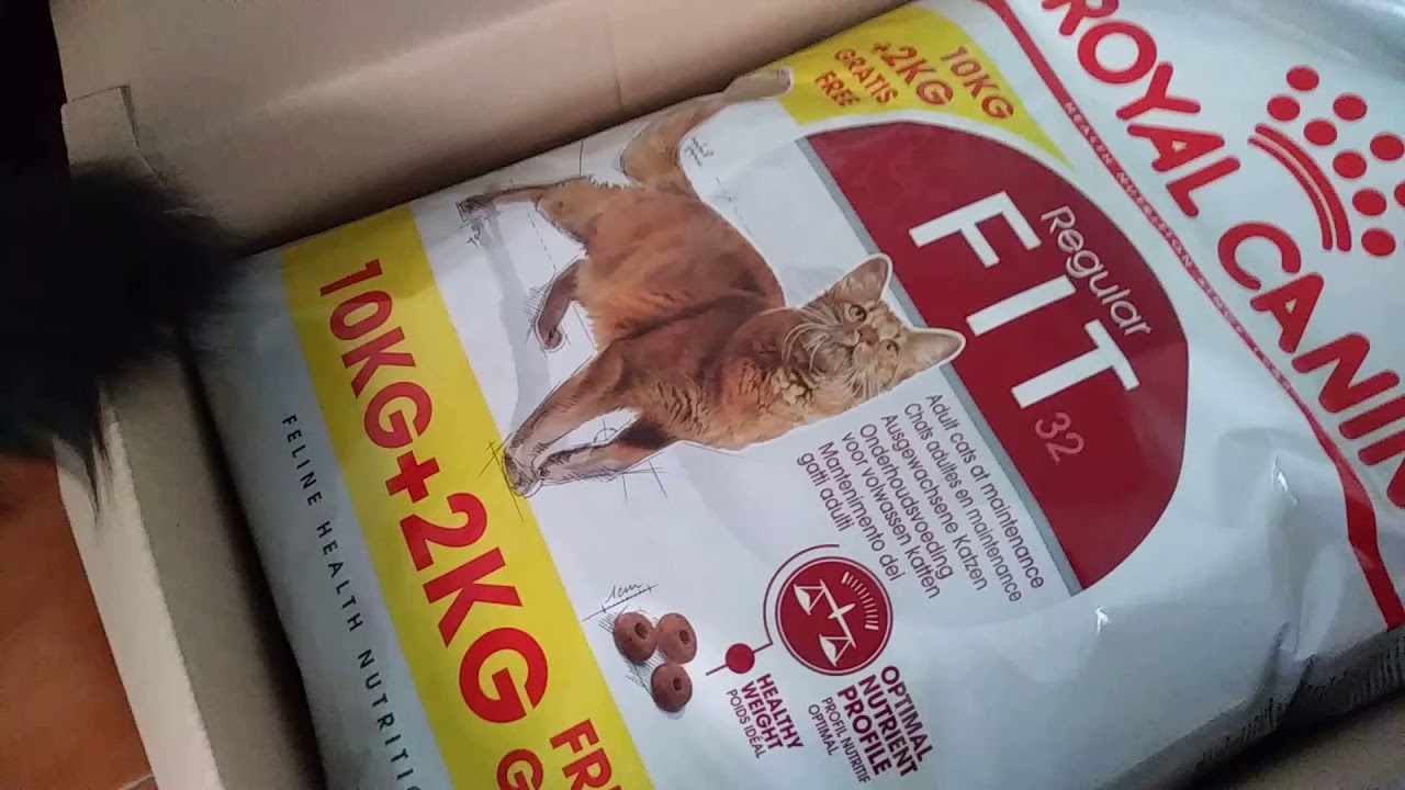 Watch video Royal canin fit cat food unboxing Now Royal canin fit cat food unboxing