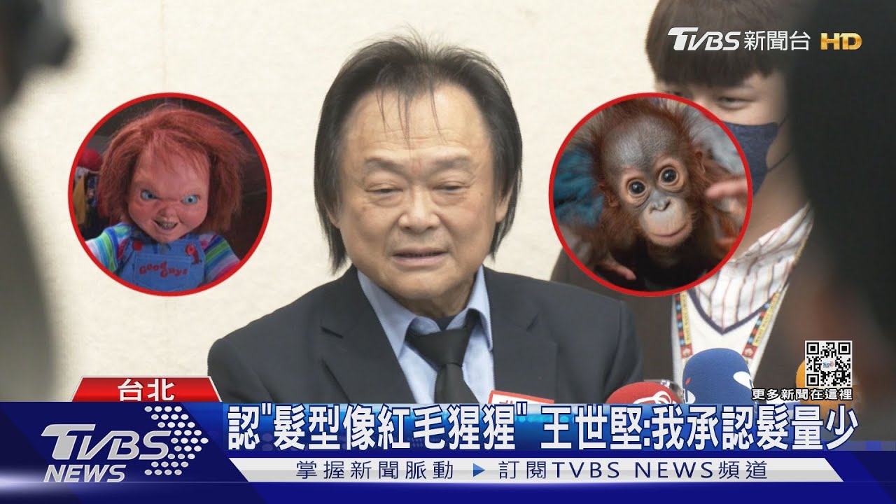 認「髮型像紅毛猩猩」　王世堅：我承認髮量少