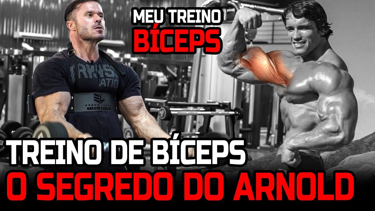 O SEGREDO DO ARNOLD - TREINO DE BÍCEPS