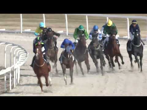 2022.03.20. 03. futam - NYERETLENEK VERSENYE (V.kat.) II. rész (szintetikus pálya)