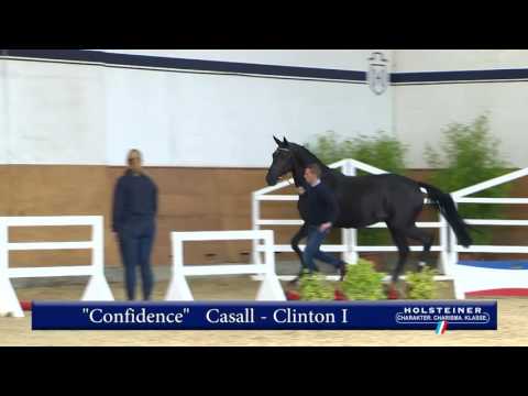 114. Confidence v. Casall - Clinton I