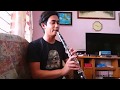 Lord of The Rings Symphony - Concerning Hobbits | Clarinet Cover