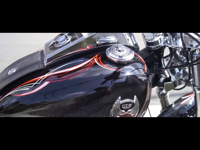 CUSTOMPAINT HARLEY-DAVIDSON 08FXSTC