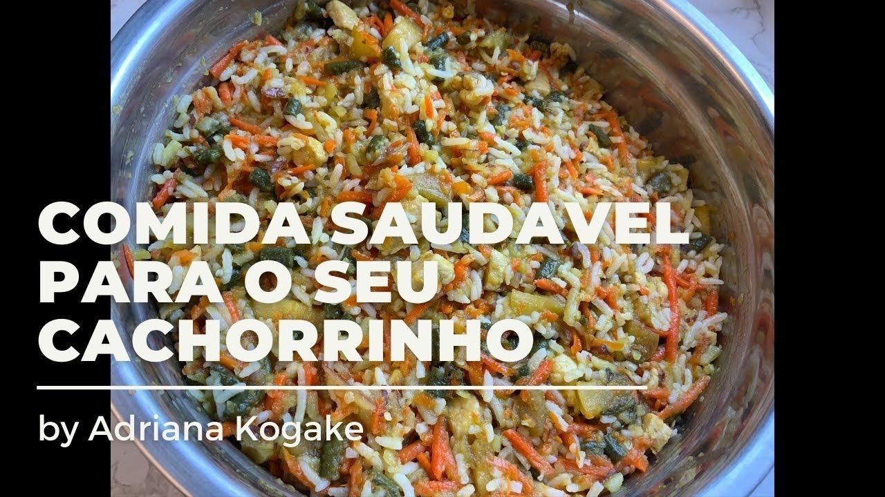 Receita de Alimentação Natural Saudável para Cães