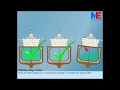 Procedure For Conducting Inclining Test