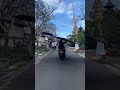 Biggest Kite Ever Shorts