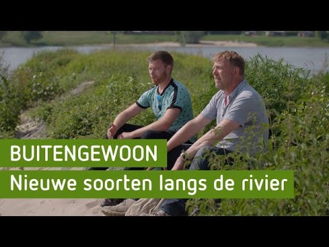 De ruige gebieden langs het water | BuitenGewoon