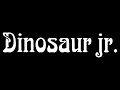 Freak scene - Dinosaur Jr [Lyrics]